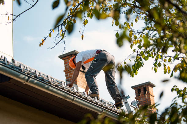 Best Roof Ventilation Installation  in New Lisbon, WI