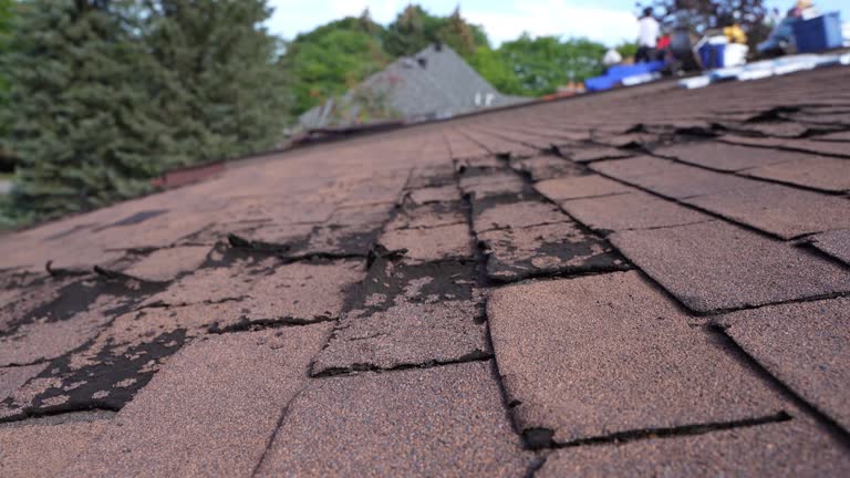 Best Roof Leak Repair  in New Lisbon, WI